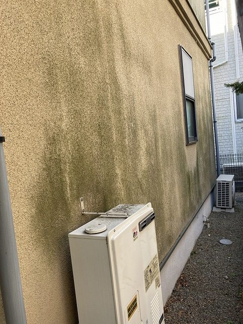 壁