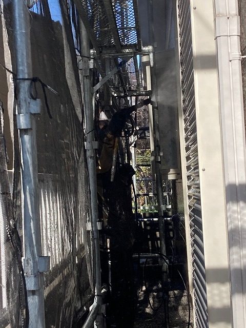 洗浄