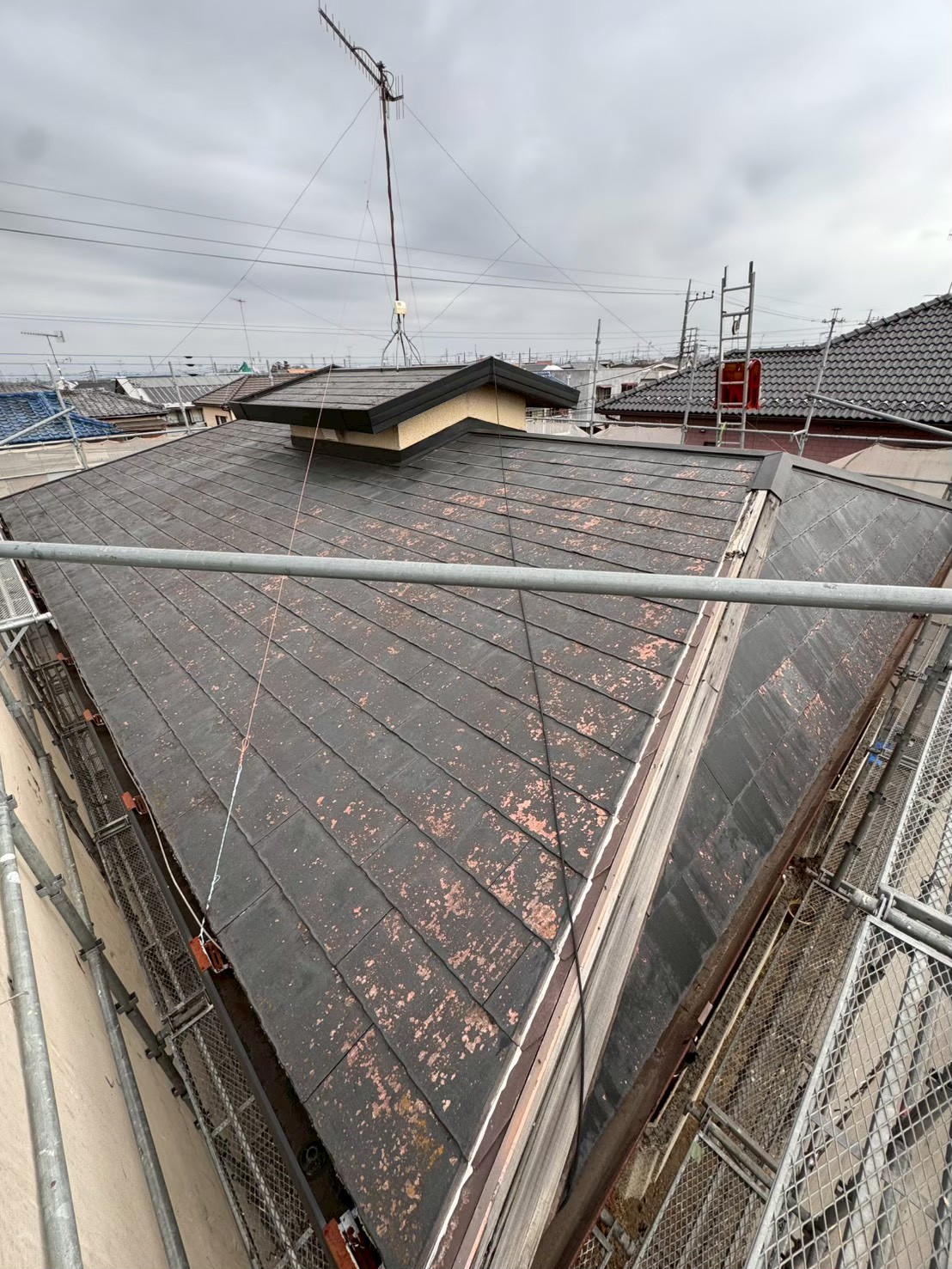 屋根全景と経年の影響